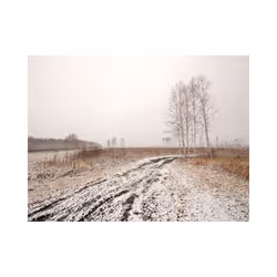 Papier peint intissé Paysages Winter field - PD14411-400-309