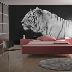 Papier peint intissé Animaux Tigre blanc - PD13267-400-309