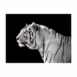 Papier peint intissé Animaux Tigre blanc - PD13267-400-309