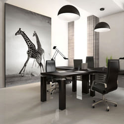 Papier peint intissé Animaux Girafes - PD13268-400-309