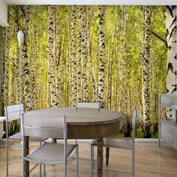 Planete Discount PD14429-350-270 papier-peint Papier peint non tissé Noir, Vert, Blanc