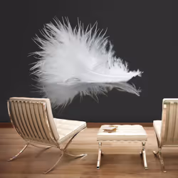 Planete Discount PD13272-350-270, Papier peint non tissé, Noir, Blanc, Noir Et Blanc, 120 g/m², White feather, 3500 mm
