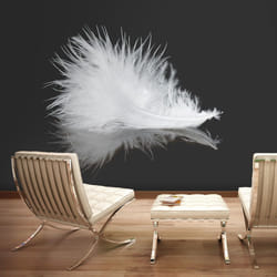 Planete Discount PD13272-350-270 papier-peint Papier peint non tissé Noir, Blanc