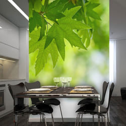 Papier peint intissé Paysages feuilles (Shallow focus) - PD14433-400-309