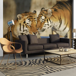 Papier peint intissé Animaux Tigres : l'amour inconditionnel - PD13274-400-309