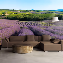 Planete Discount PD13586-400-309, Papier peint non tissé, Bleu, Vert, Violet, Vert, Violet, Azuré, 120 g/m², Champs de lavand ...