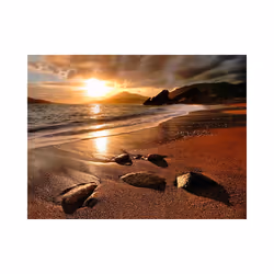 Papier peint intissé Paysages Relaxation by the sea - PD14442-400-309