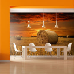 Papier peint intissé Paysages Champs dorés - PD14443-400-309