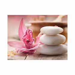 Papier peint intissé Orient Zen et Spa - PD14256-400-309