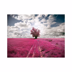 Papier peint intissé Paysages Prairie couleur fuschia - PD14445-400-309