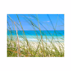 Papier peint intissé Paysages Tropical journey - PD14448-400-309