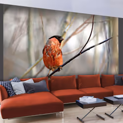 Planete Discount PD13275-400-309, Papier peint non tissé, Noir, Gris, Rouge, Noir, Gris, Rouge, 120 g/m², Bullfinch in the fo ...