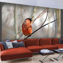 Papier peint intissé Animaux Bullfinch in the forest - PD13275-400-309