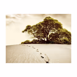 Papier peint intissé Paysages Arbre dans le désert - PD14450-400-309