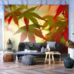 Papier peint intissé Paysages Feuilles colorées - PD14452-400-309