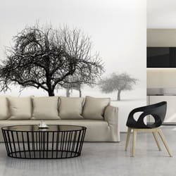 Papier peint intissé Paysages hiver - arbres - PD14453-400-309