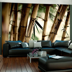 Papier peint intissé Orient Fog and bamboo forest - PD14258-400-309