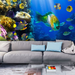 Papier peint intissé Paysages Paradis sous-marins - PD14459-400-309