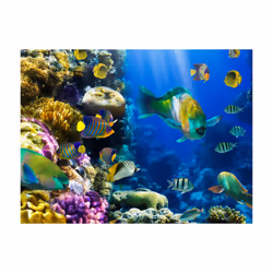 Papier peint intissé Paysages Paradis sous-marins - PD14459-400-309