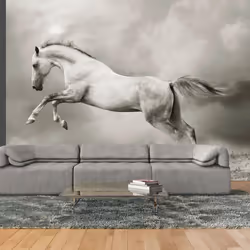 Planete Discount PD13276-350-270