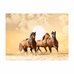 Planete Discount PD13277-300-231 papier-peint