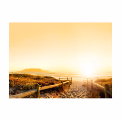 Papier peint intissé Paysages Chemin vers le soleil... - PD14461-400-309