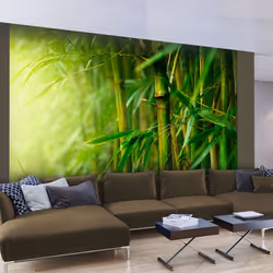 Planete Discount PD14259-400-309, Papier peint non tissé, Crème, Vert, Crème, Vert, 120 g/m², jungle - bambou, 4000 mm
