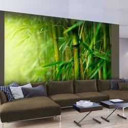 Papier peint intissé Orient jungle - bambou - PD14259-400-309