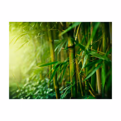 Papier peint intissé Orient jungle - bambou - PD14259-400-309