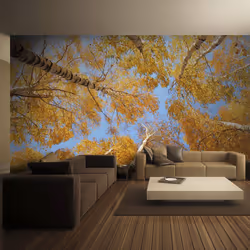 Planete Discount PD14465-400-309, Papier peint non tissé, Bleu, Orange, Azuré, Orange, 120 g/m², Arbres d'automne, 4000 mm
