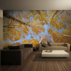 Papier peint intissé Paysages Arbres d'automne - PD14465-400-309
