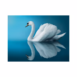 Planete Discount PD13281-350-270 papier-peint