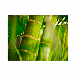 Planete Discount PD14261-200-154 papier-peint Papier peint non tissé Vert, Blanc, Jaune