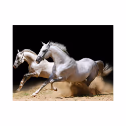 Papier peint intissé Animaux Chevaux au galop sur du sable - PD13285-400-309