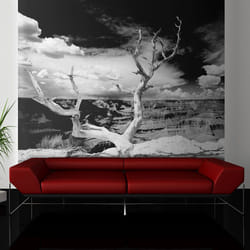 Papier peint intissé Paysages Arbre au Grand Canyon, Arizona - PD14471-400-309