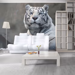 Planete Discount PD13286-250-193, Papier peint non tissé, Noir, Blanc, Noir Et Blanc, 120 g/m², Tigre du Bengale au zoo, 2500 ...