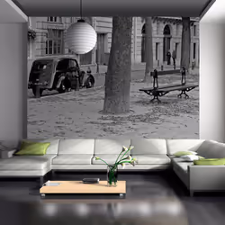 Planete Discount PD14843-400-309, Papier peint non tissé, Noir, Blanc, Noir Et Blanc, 120 g/m², Balade à Paris, 4000 mm