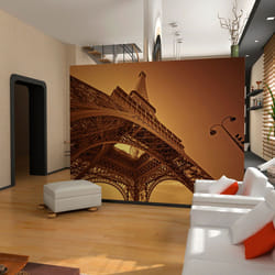 Papier peint intissé Ville et Architecture Puissance de Paris - PD14846-400-309