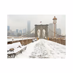 Papier peint intissé Ville et Architecture Pont de Brooklyn couvert de neige - PD14862-400-309