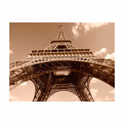 Papier peint intissé Ville et Architecture Tour Eiffel en sépia - PD14865-400-309