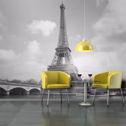 Planete Discount PD14878-400-309, Papier peint non tissé, Noir, Blanc, Noir Et Blanc, 120 g/m², Seine et Tour Eiffel, 4000 mm