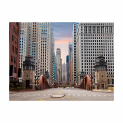 Papier peint intissé Ville et Architecture Chicago street - PD14884-400-309