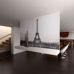 Planete Discount PD14903-200-154, Papier peint non tissé, Noir, Blanc, Noir Et Blanc, 120 g/m², Paris : photographie en noir ...
