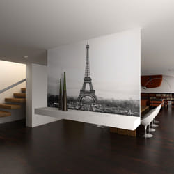 Papier peint intissé Ville et Architecture Paris : photographie en noir et blanc - PD14903-400-309