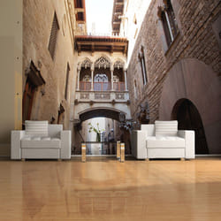 Papier peint intissé Ville et Architecture Barcelona Palau generalitat in gothic Barrio - PD14922-400-309