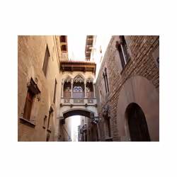 Papier peint intissé Ville et Architecture Barcelona Palau generalitat in gothic Barrio - PD14922-400-309