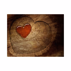 Papier peint intissé Abstractions Eternal love - PD13165-400-309