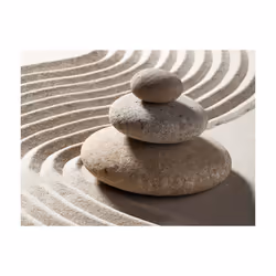 Papier peint intissé Orient Jardin zen - PD14264-400-309