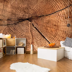 Planete Discount PD13985-400-309, Papier peint non tissé, Crème, Crème, Coupe d'un tronc d'arbre, 4000 mm, 50 cm