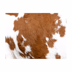 Papier peint intissé Fonds et Dessins Peau de vache - PD13989-400-309